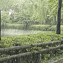 duc_nam8888