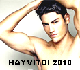 hayvitoi