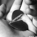 silentlove