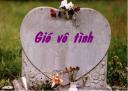 giovotinh_thv